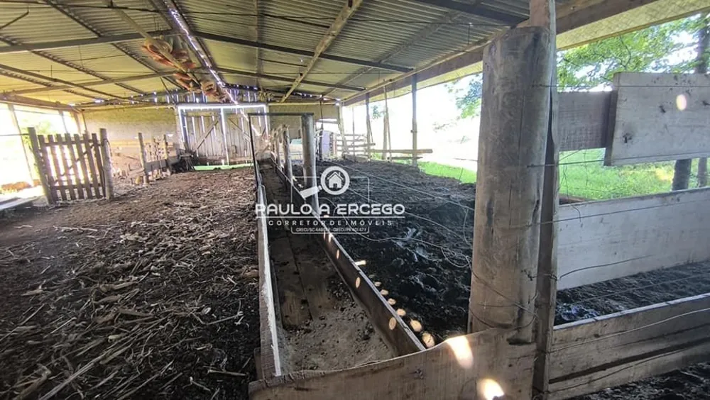 Sítio, 23 hectares - Foto 1