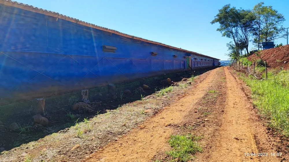 Fazenda, 12 hectares - Foto 13