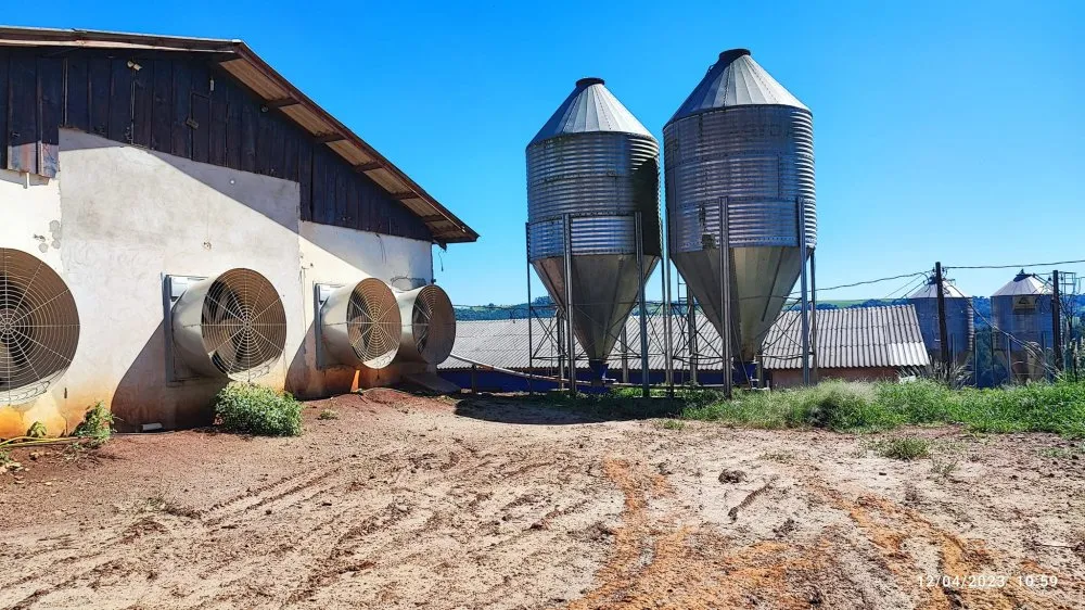 Fazenda, 12 hectares - Foto 8