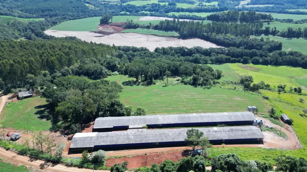 Fazenda, 12 hectares - Foto 12
