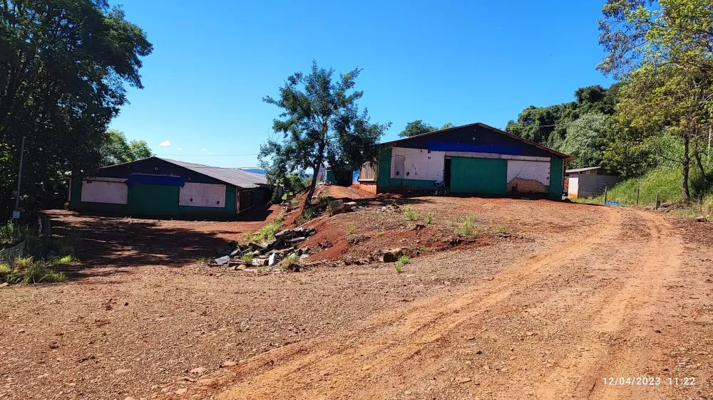 Fazenda, 12 hectares - Foto 7