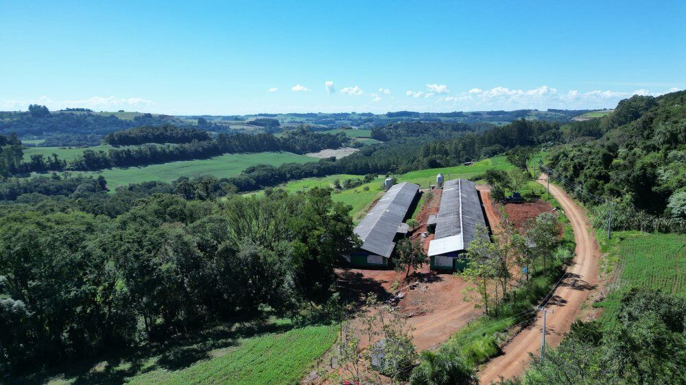 Fazenda, 12 hectares - Foto 1
