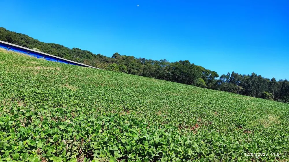 Fazenda, 12 hectares - Foto 10
