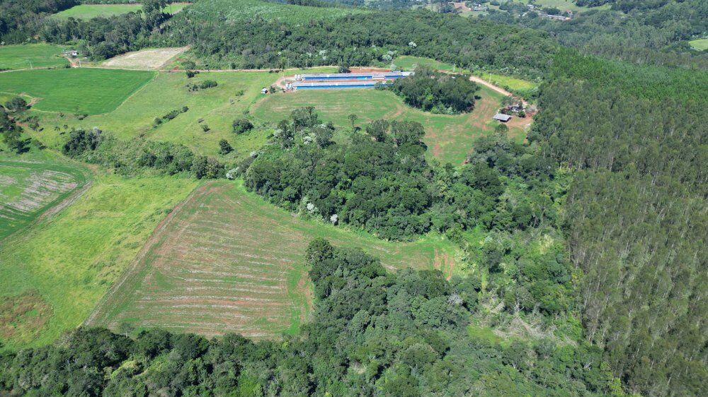 Fazenda, 12 hectares - Foto 3