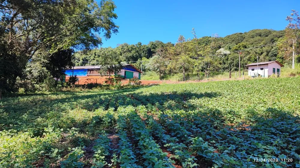 Fazenda, 12 hectares - Foto 11