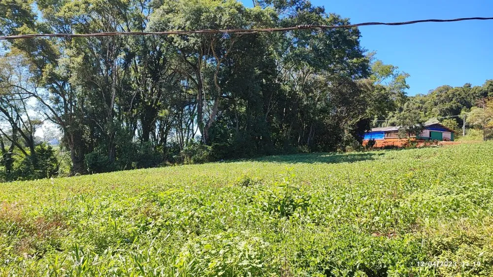 Fazenda, 12 hectares - Foto 16