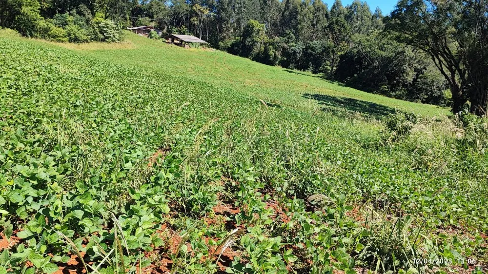 Fazenda, 12 hectares - Foto 8