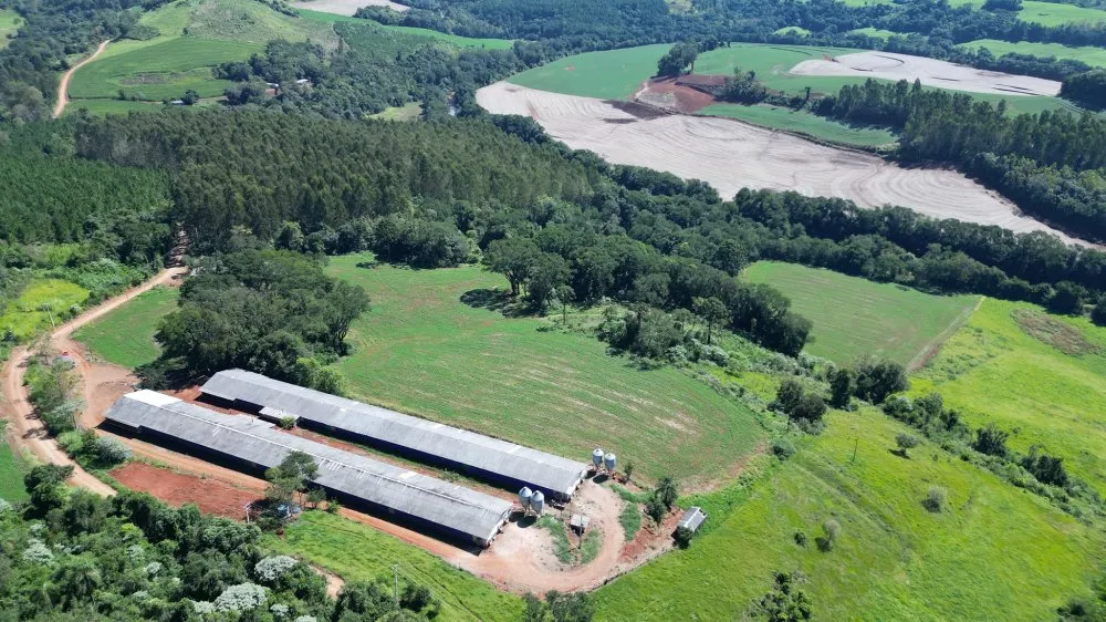 Fazenda, 12 hectares - Foto 1