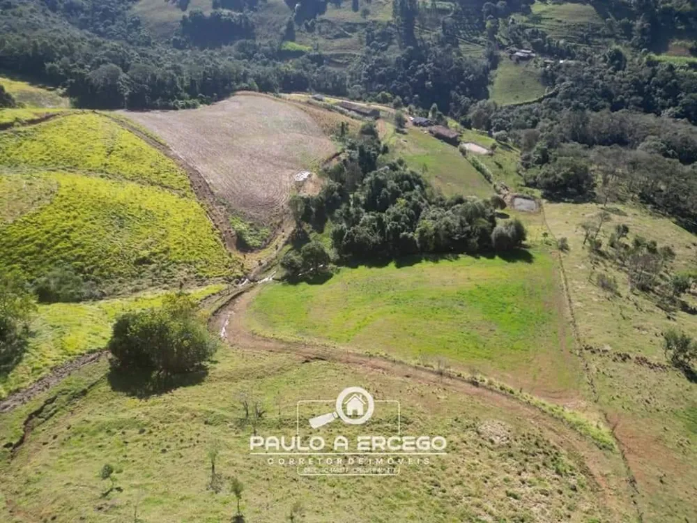 Sítio, 11 hectares - Foto 2