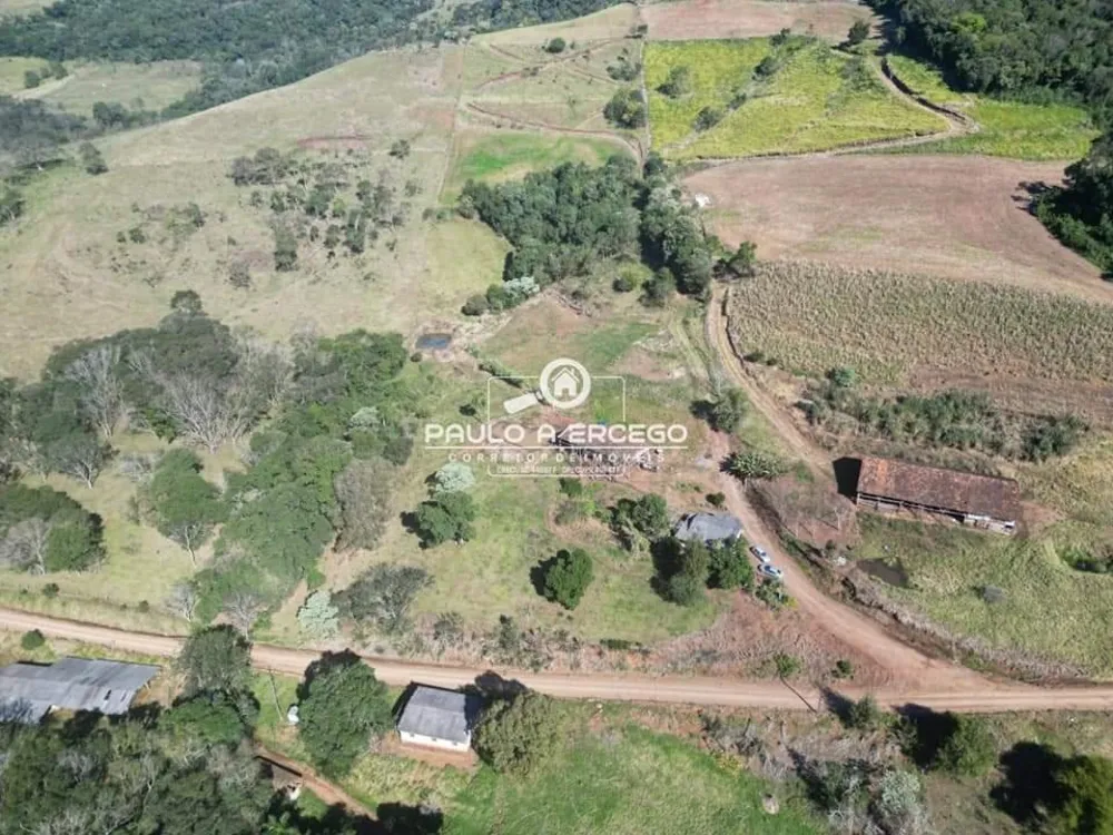 Sítio, 11 hectares - Foto 4