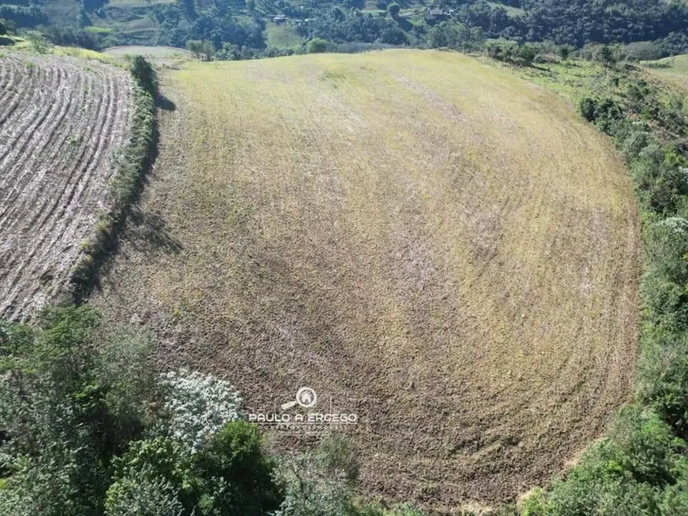 Sítio, 11 hectares - Foto 9