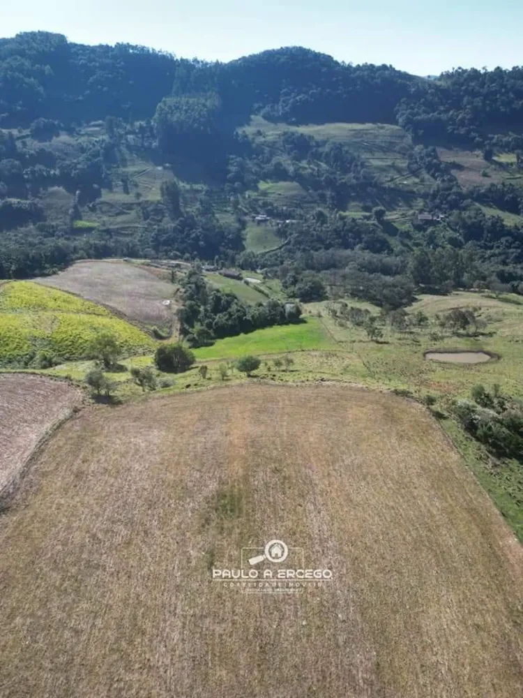 Sítio, 11 hectares - Foto 8