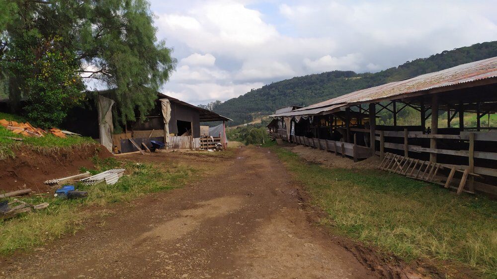 Terreno, 2 hectares - Foto 4