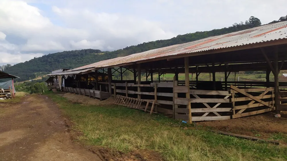 Terreno, 2 hectares - Foto 4