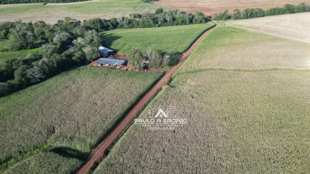 Fazenda, 24 hectares - Foto 6