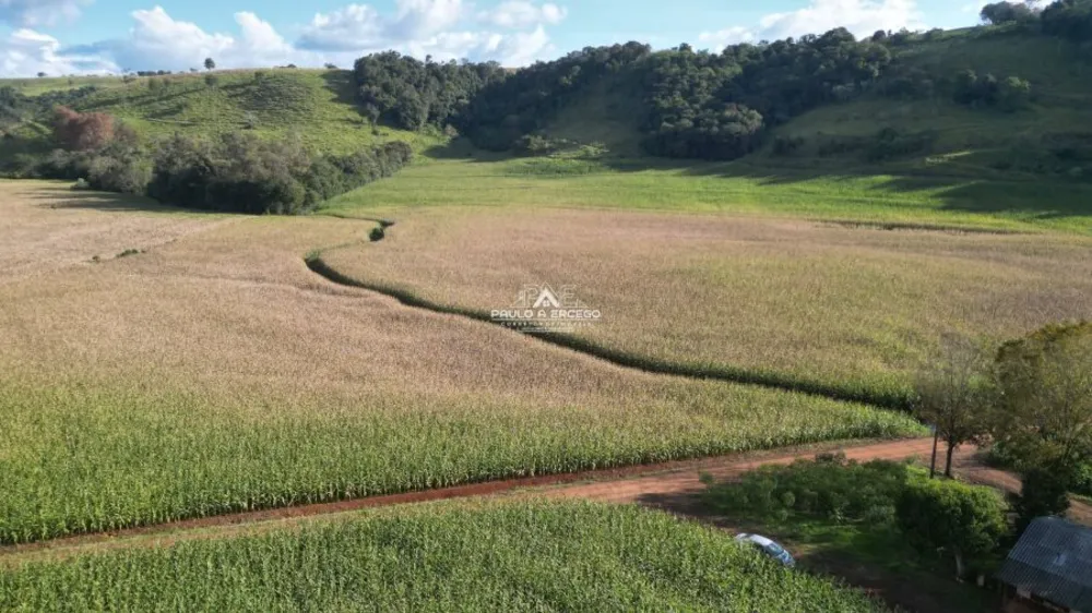 Fazenda, 24 hectares - Foto 2