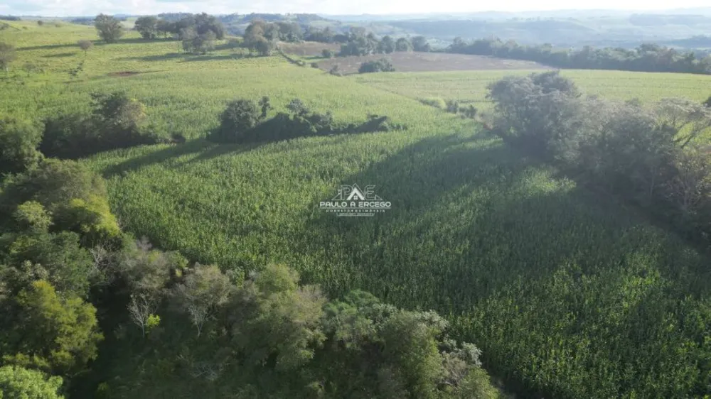 Fazenda, 24 hectares - Foto 4