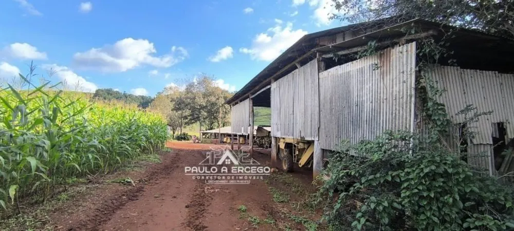 Fazenda, 24 hectares - Foto 10