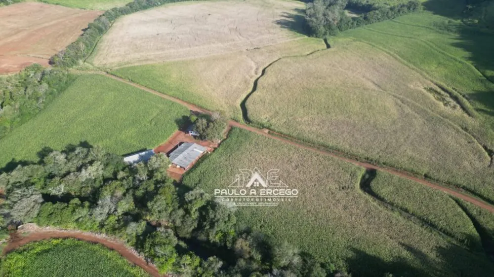 Fazenda, 24 hectares - Foto 3