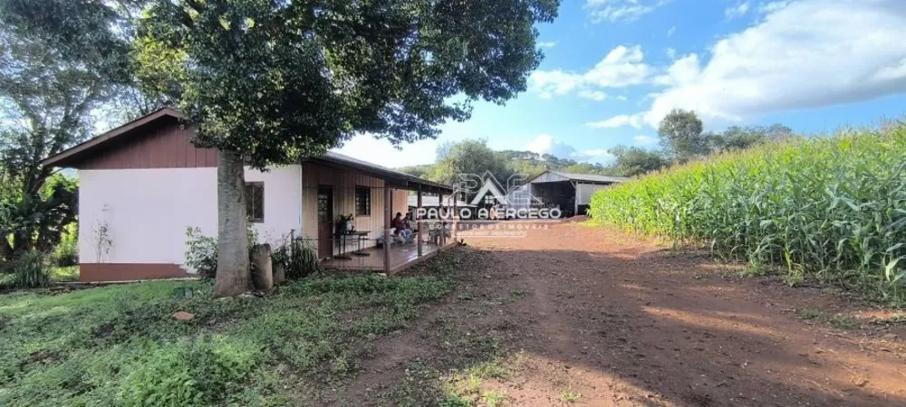 Fazenda, 24 hectares - Foto 11