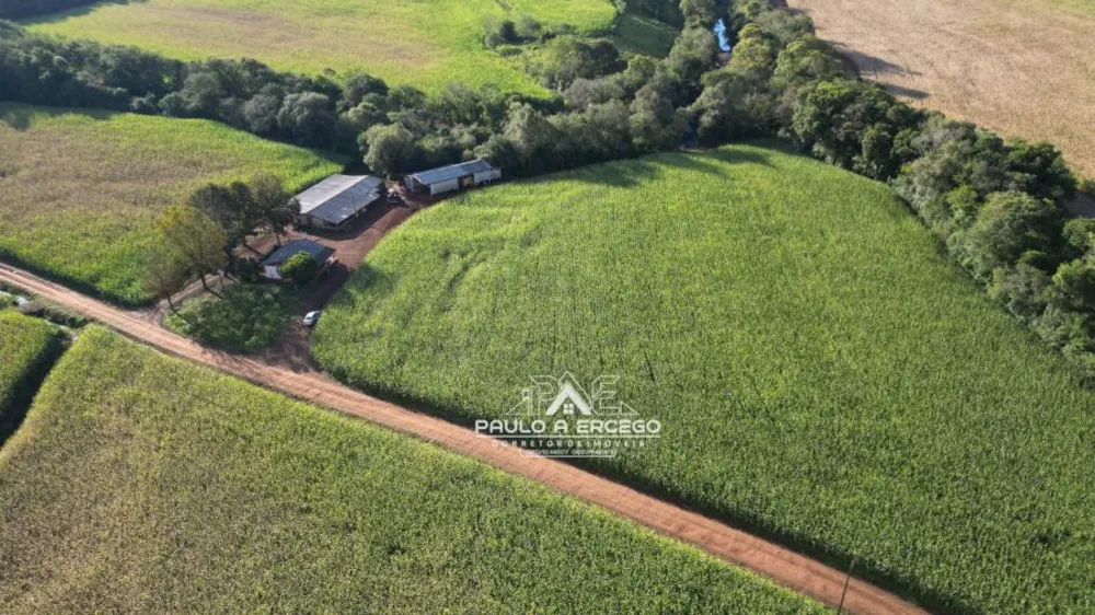 Fazenda, 24 hectares - Foto 5