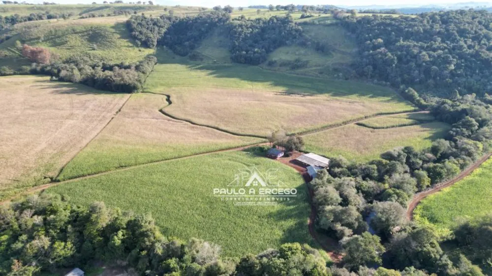 Fazenda, 24 hectares - Foto 1
