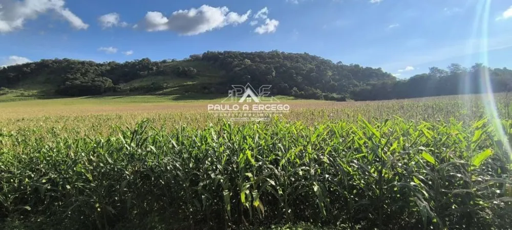 Fazenda, 24 hectares - Foto 7
