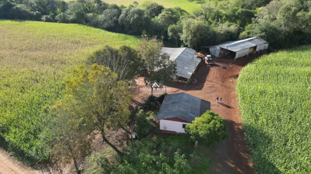 Fazenda, 24 hectares - Foto 8