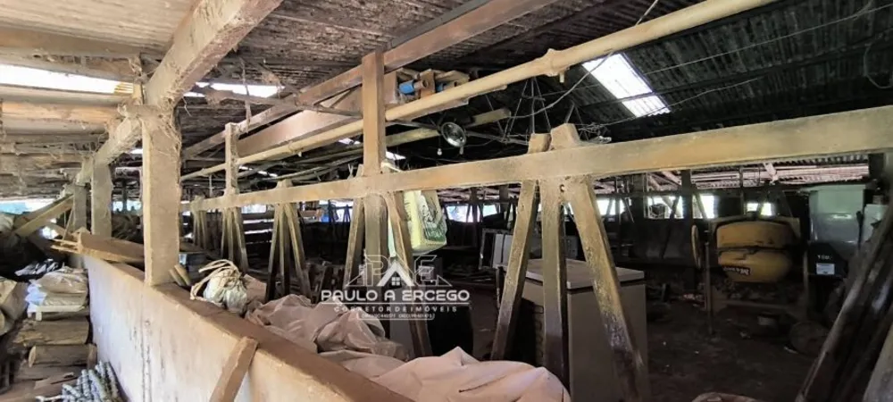 Fazenda, 24 hectares - Foto 13