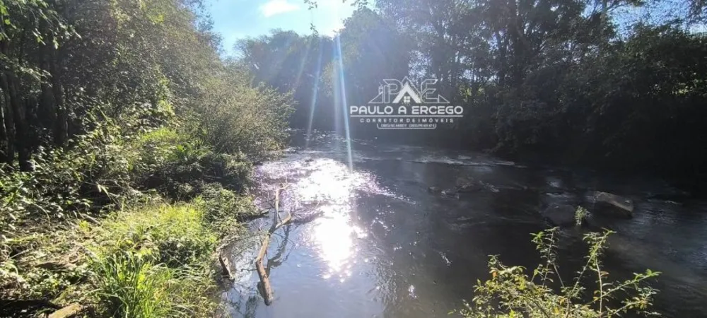 Fazenda, 24 hectares - Foto 12