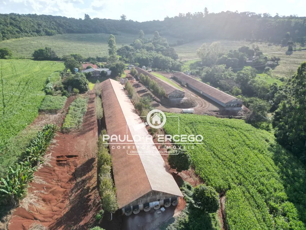 Fazenda, 2 hectares - Foto 9
