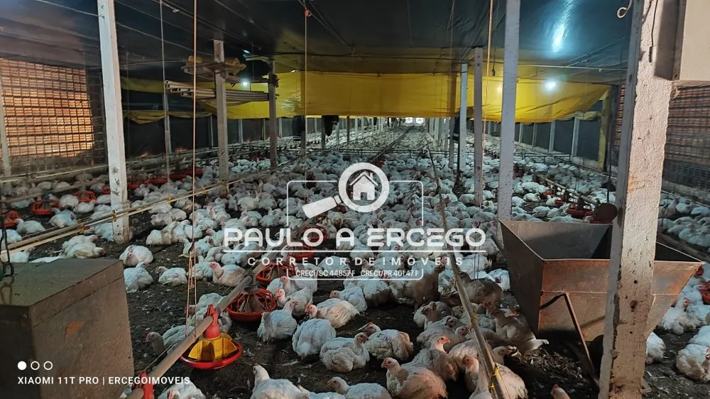 Fazenda, 2 hectares - Foto 12