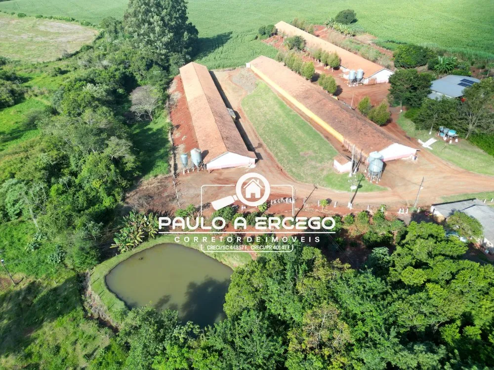 Fazenda, 2 hectares - Foto 11