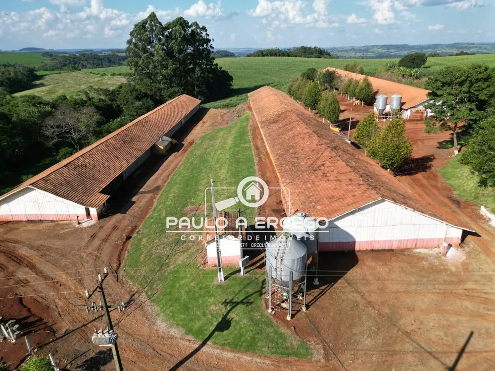 Fazenda, 2 hectares - Foto 8