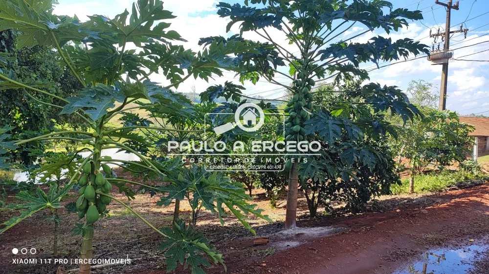 Fazenda, 2 hectares - Foto 14