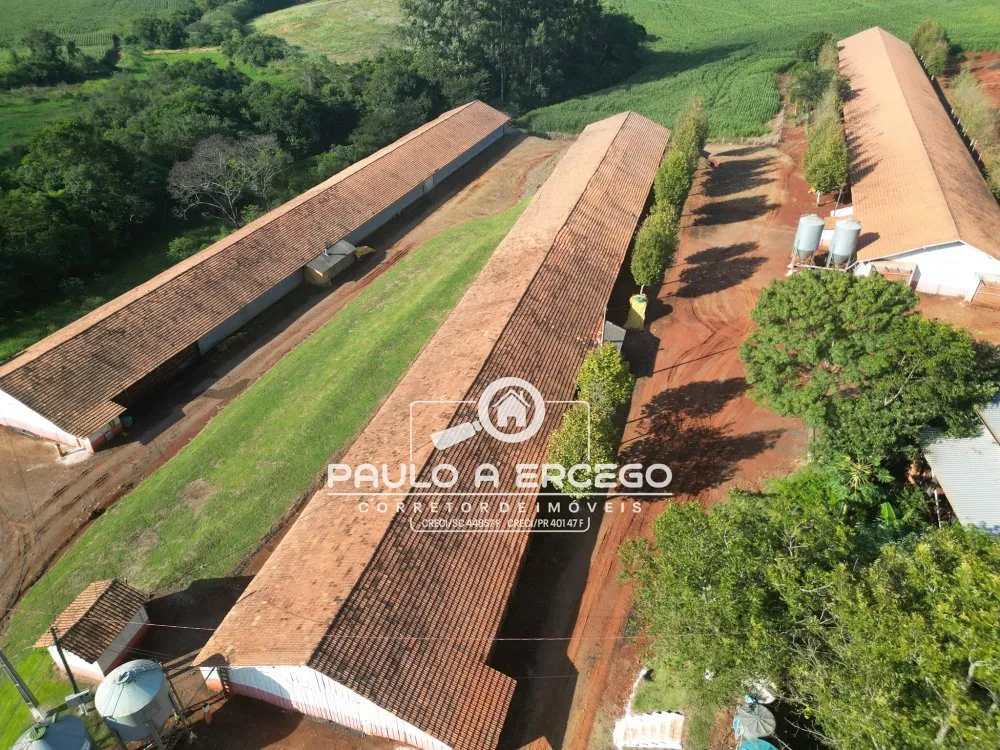 Fazenda, 2 hectares - Foto 1