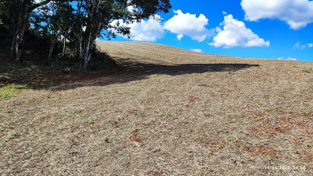 Sítio, 9 hectares - Foto 2
