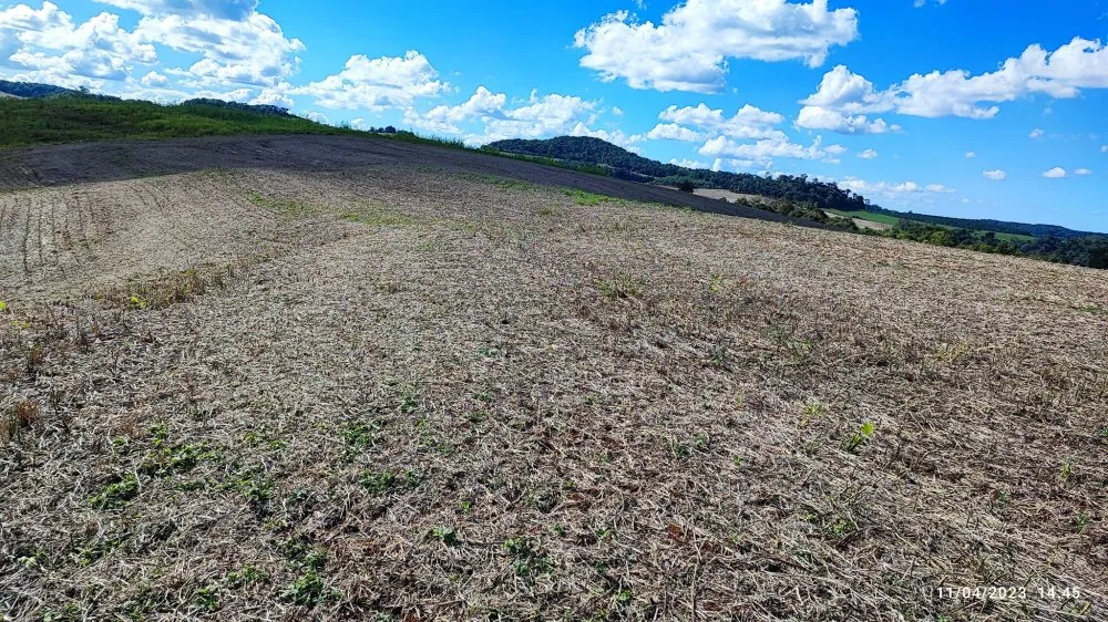 Sítio, 9 hectares - Foto 9