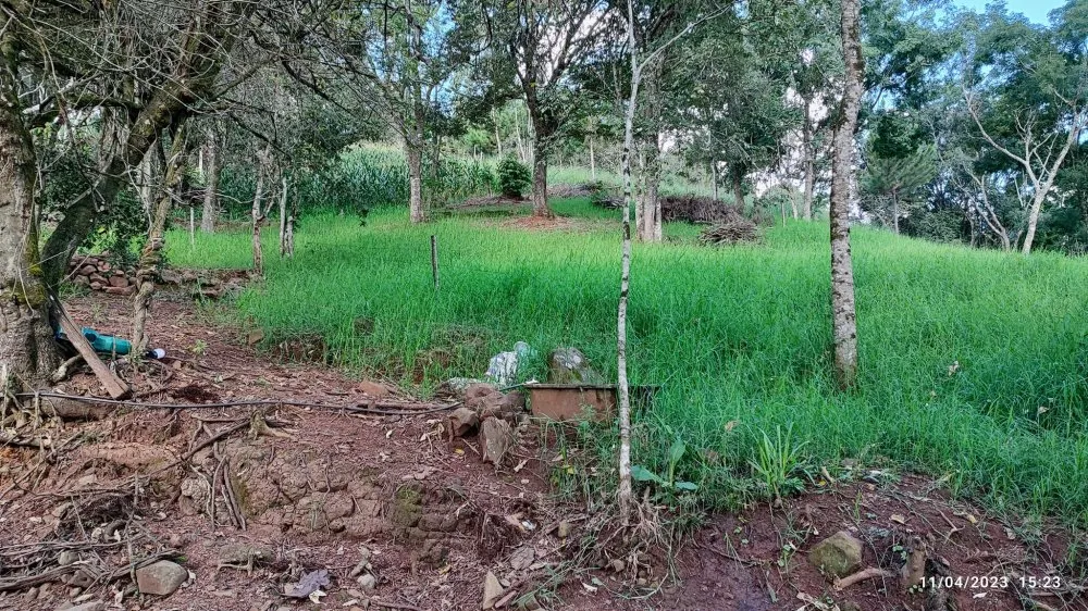 Sítio, 9 hectares - Foto 14
