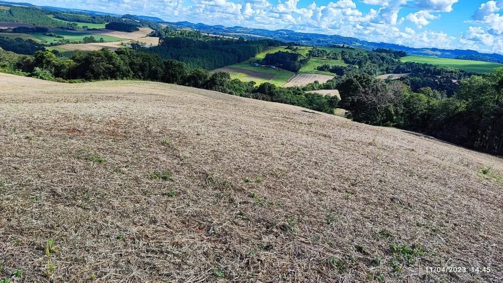 Sítio, 9 hectares - Foto 3