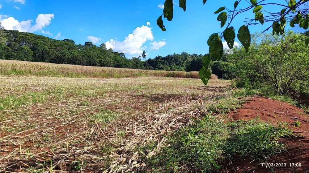 Fazenda, 6 hectares - Foto 8