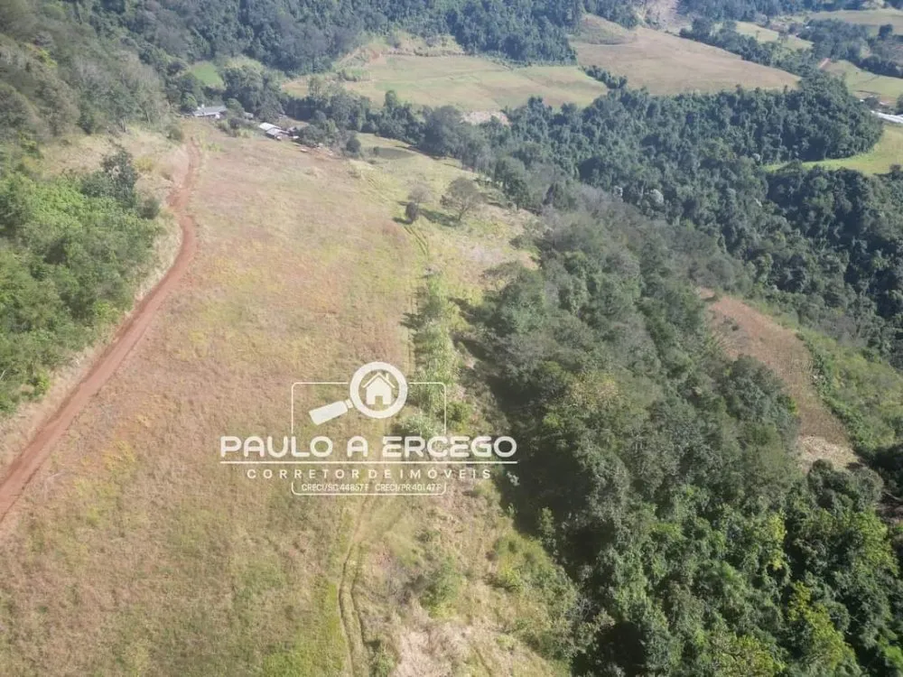 Sítio, 14 hectares - Foto 19