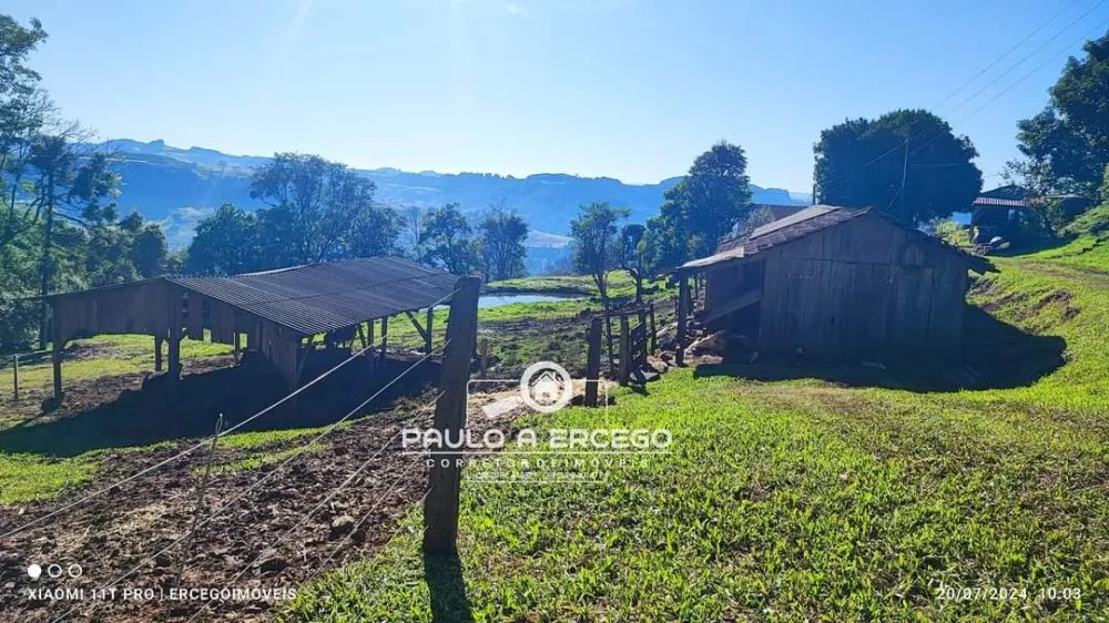 Sítio, 14 hectares - Foto 4