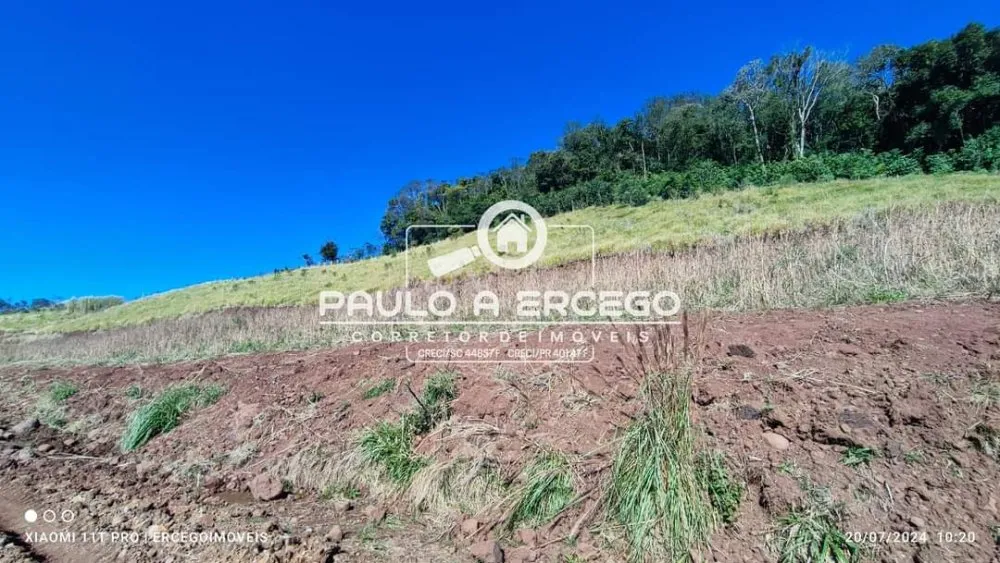 Sítio, 14 hectares - Foto 12