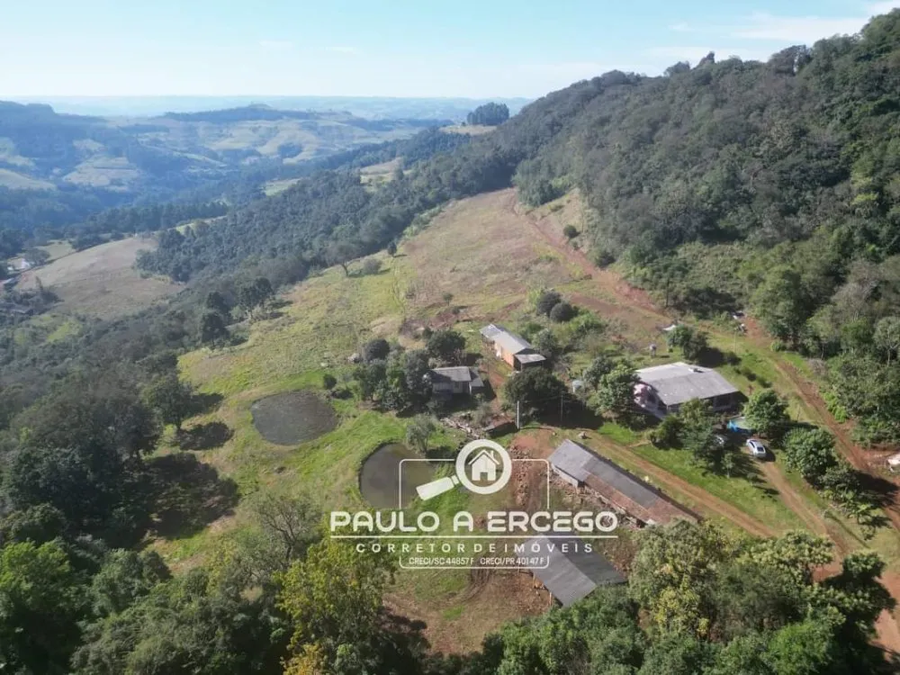 Sítio, 14 hectares - Foto 7
