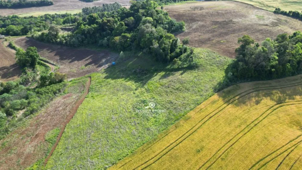 Sítio, 3 quartos, 2 hectares - Foto 16