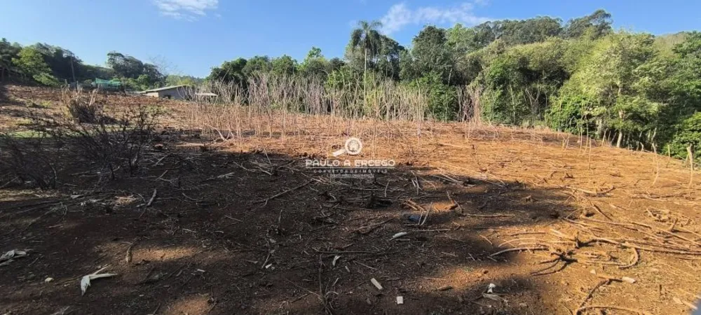 Sítio, 3 quartos, 2 hectares - Foto 14