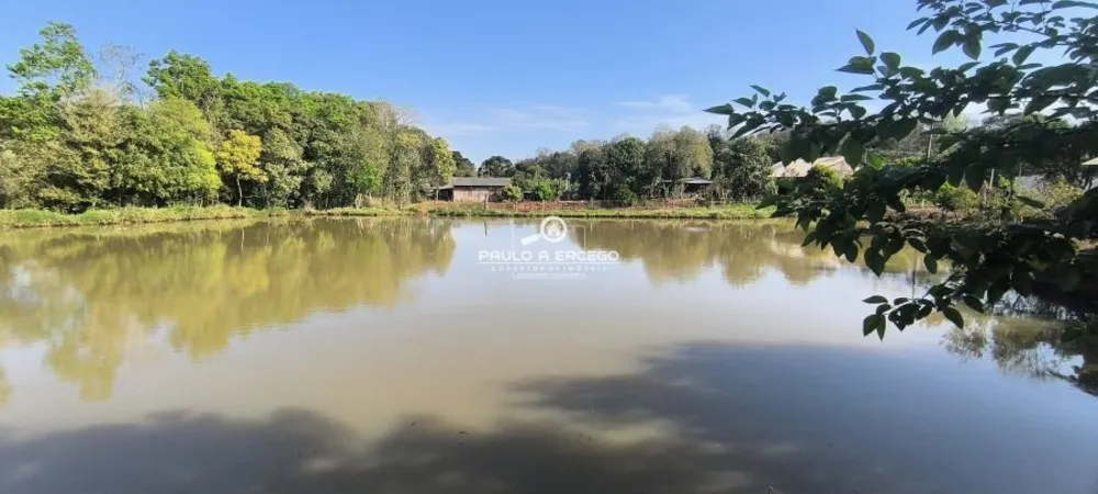 Sítio, 3 quartos, 2 hectares - Foto 18