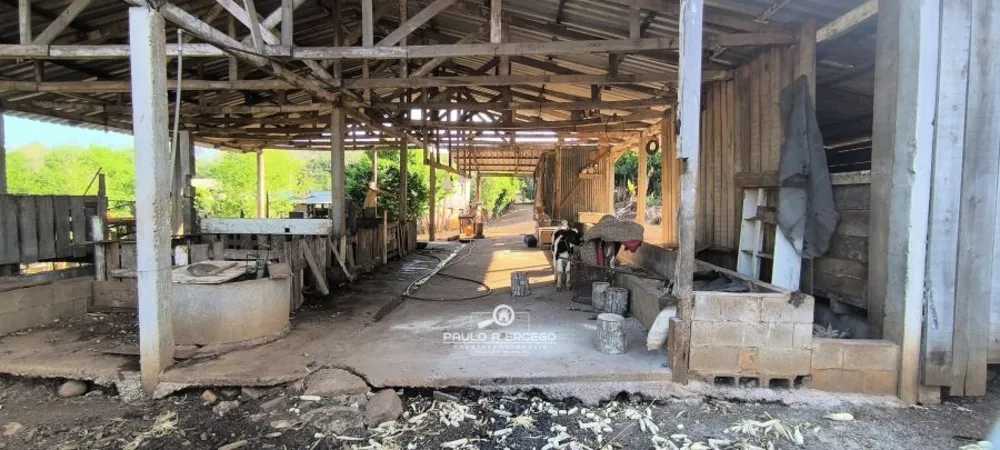 Sítio, 3 quartos, 2 hectares - Foto 12