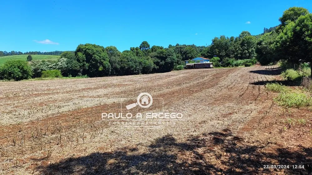 Chácara, 3 quartos, 3 hectares - Foto 16